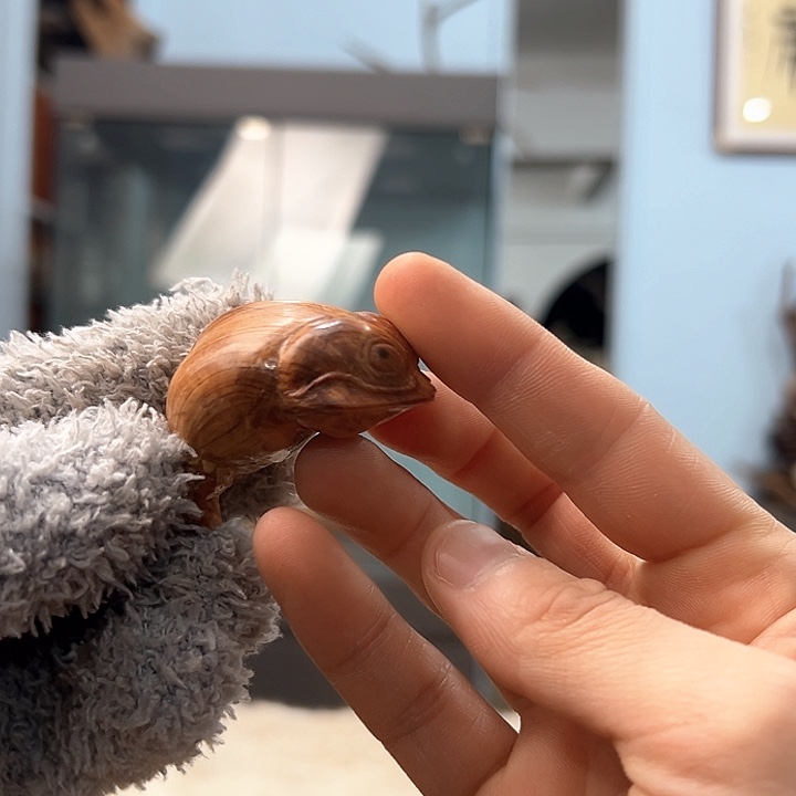 柏木辛*我们的生活是以自己