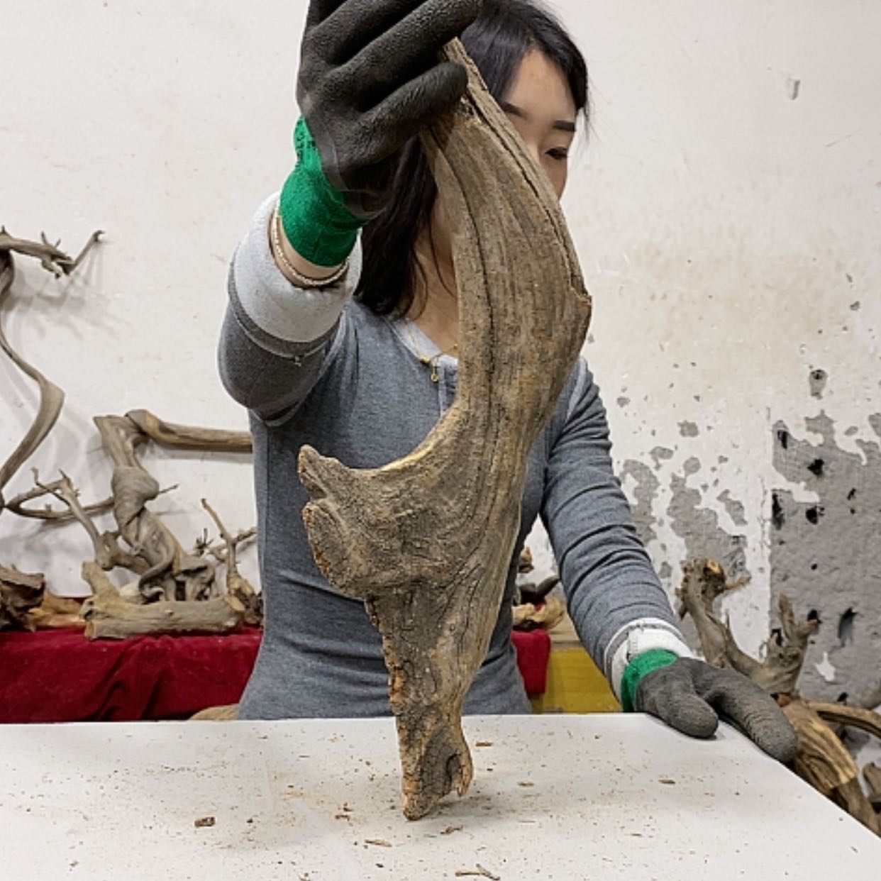 【闪购商品】柏木晖*我们都是好孩子