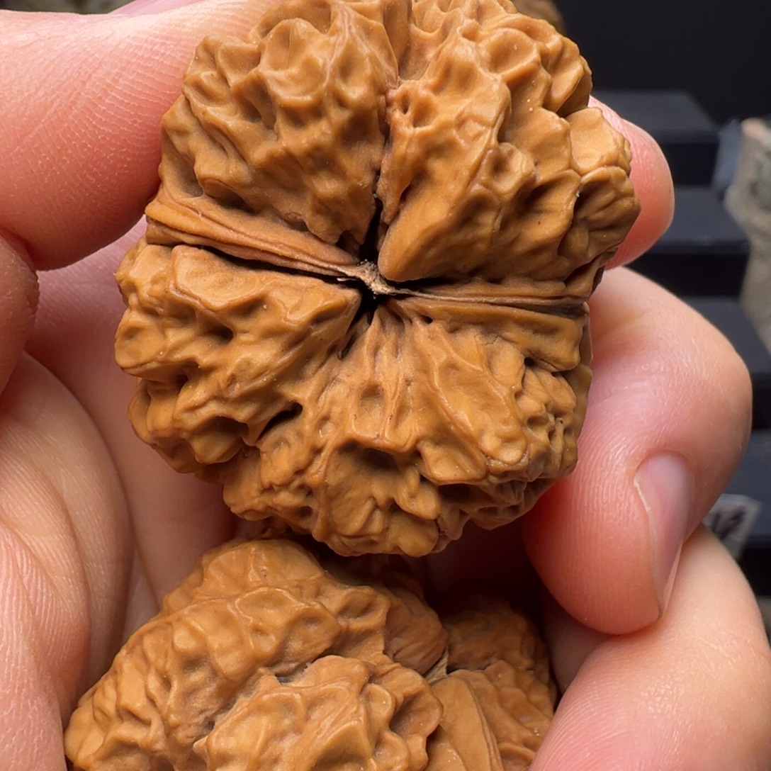 吊坠文玩核桃龙纹古蟾41.5mm