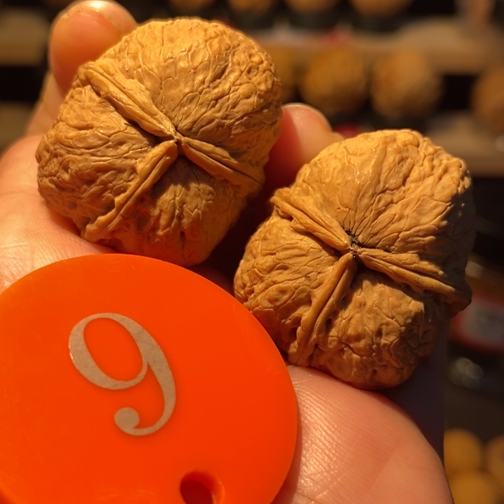 木质类蚂蚁纹三棱32尺寸