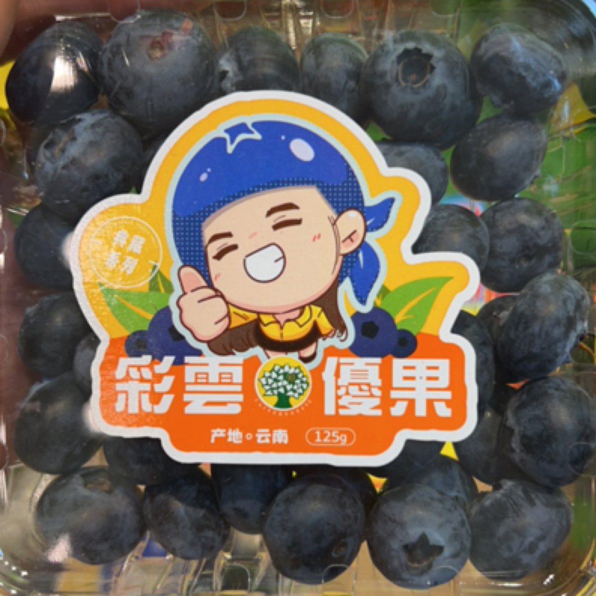 彩云优果云南山地鲜蓝莓125g/盒超大果（18mm+）