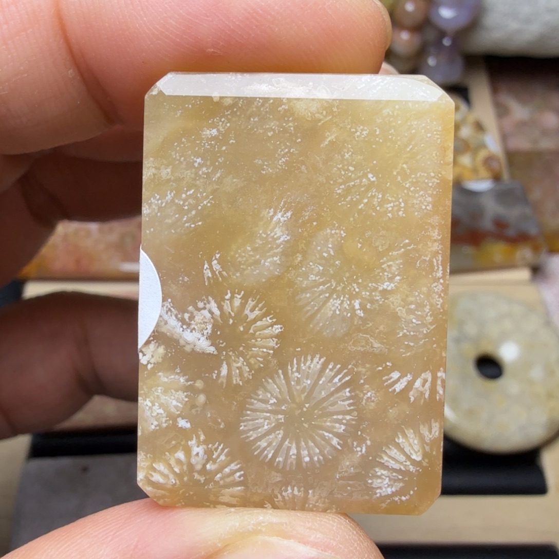 硅化玉未镶嵌纯天然色有机玉石保真色