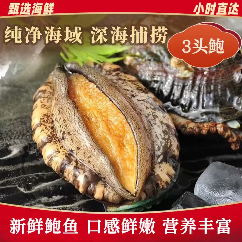 【金叶甄选】活/3头鲍鱼/36.8/只