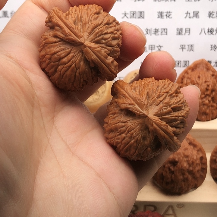 把件文玩核桃洋*白狮子，边40