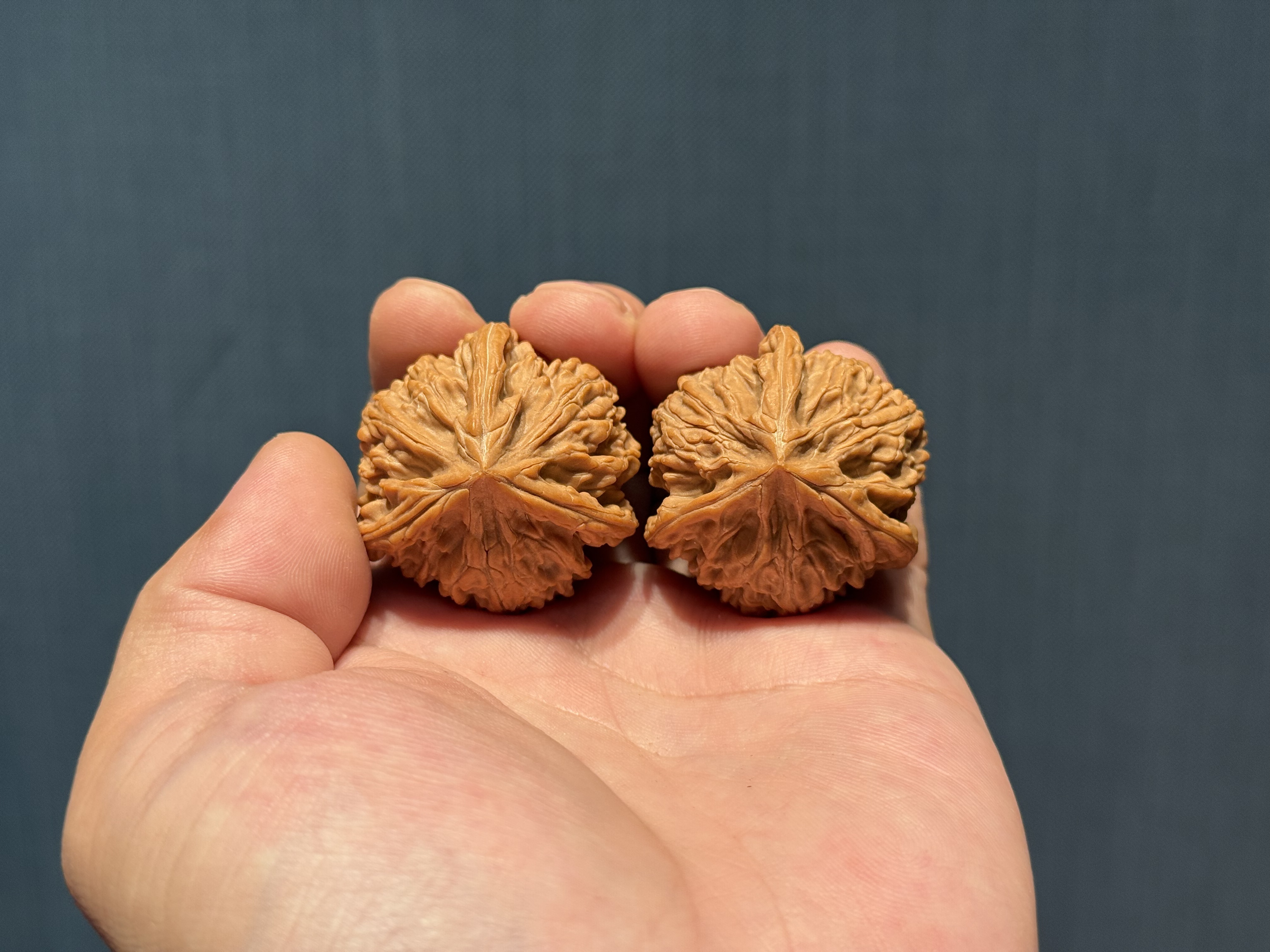 1010-核桃专场默白出品【HY精品-御龙粗筋三棱】 精品核桃一对