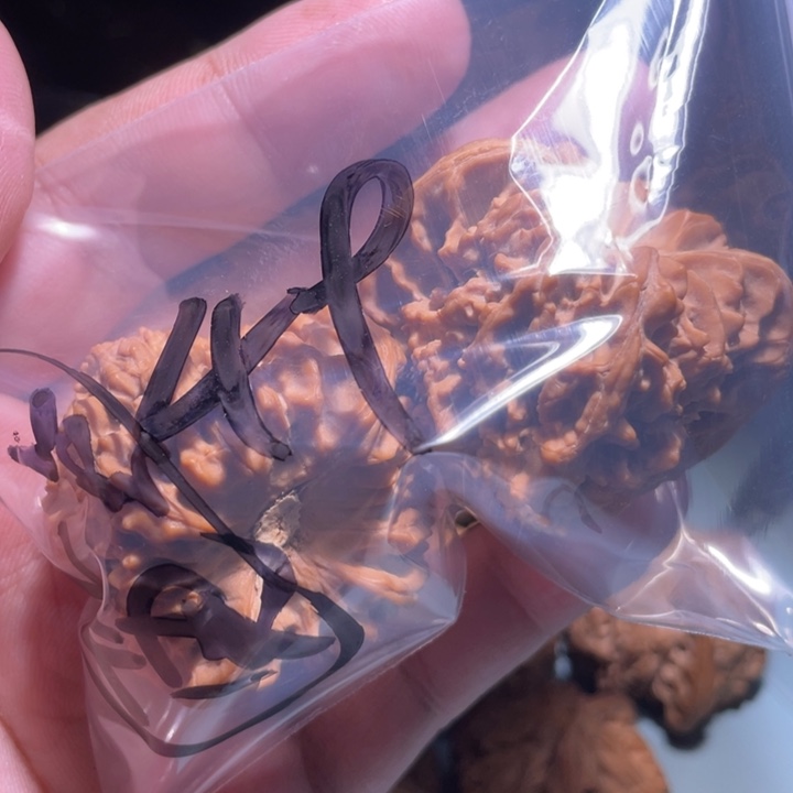 文玩核桃吊坠49呃呃呃呃