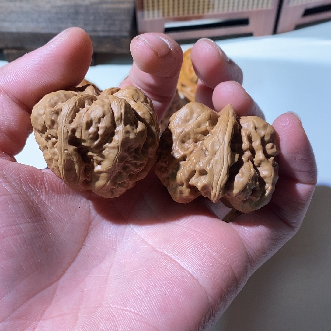 范***鹤精品文玩核桃蛤蟆头