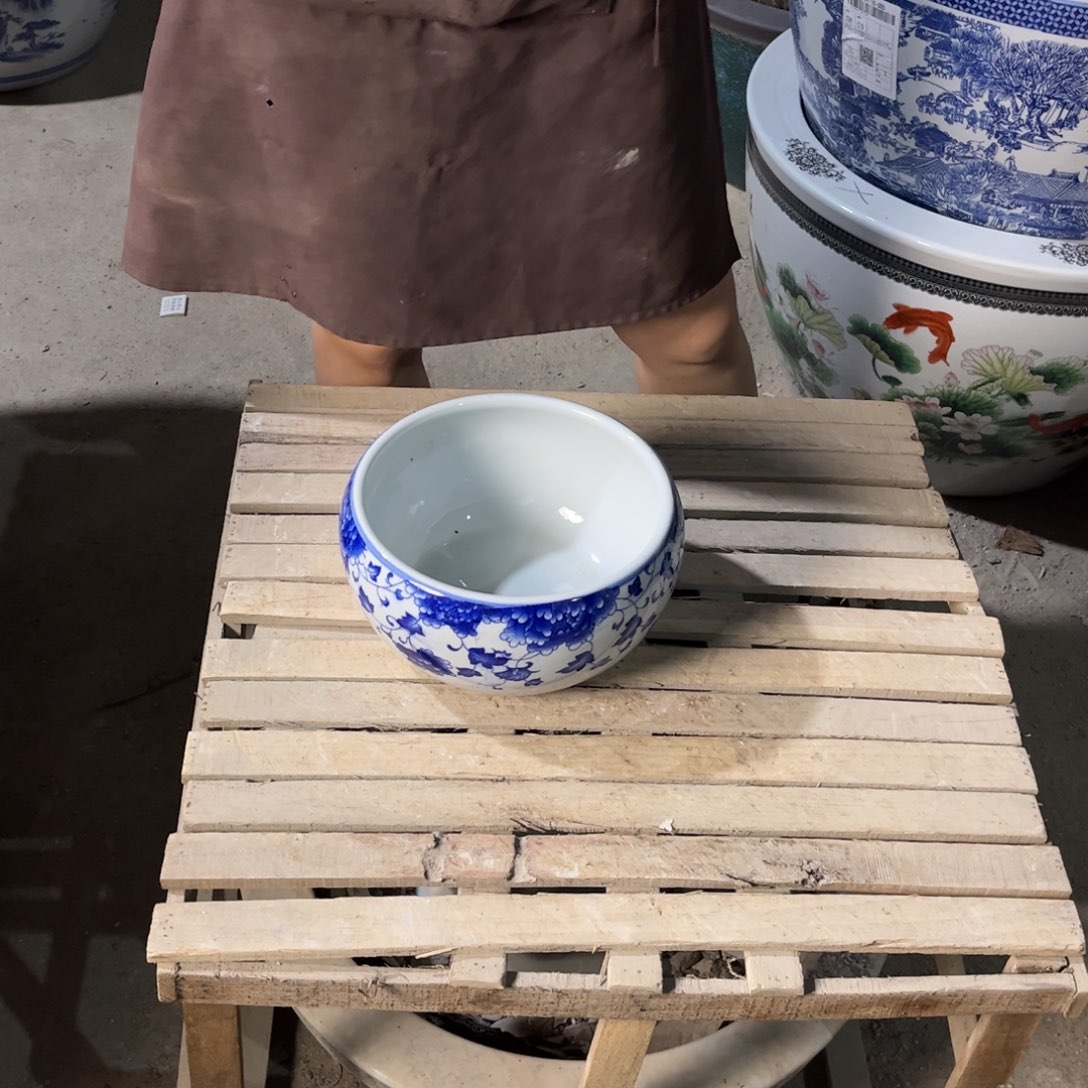 瓷片吊兰23.88888888