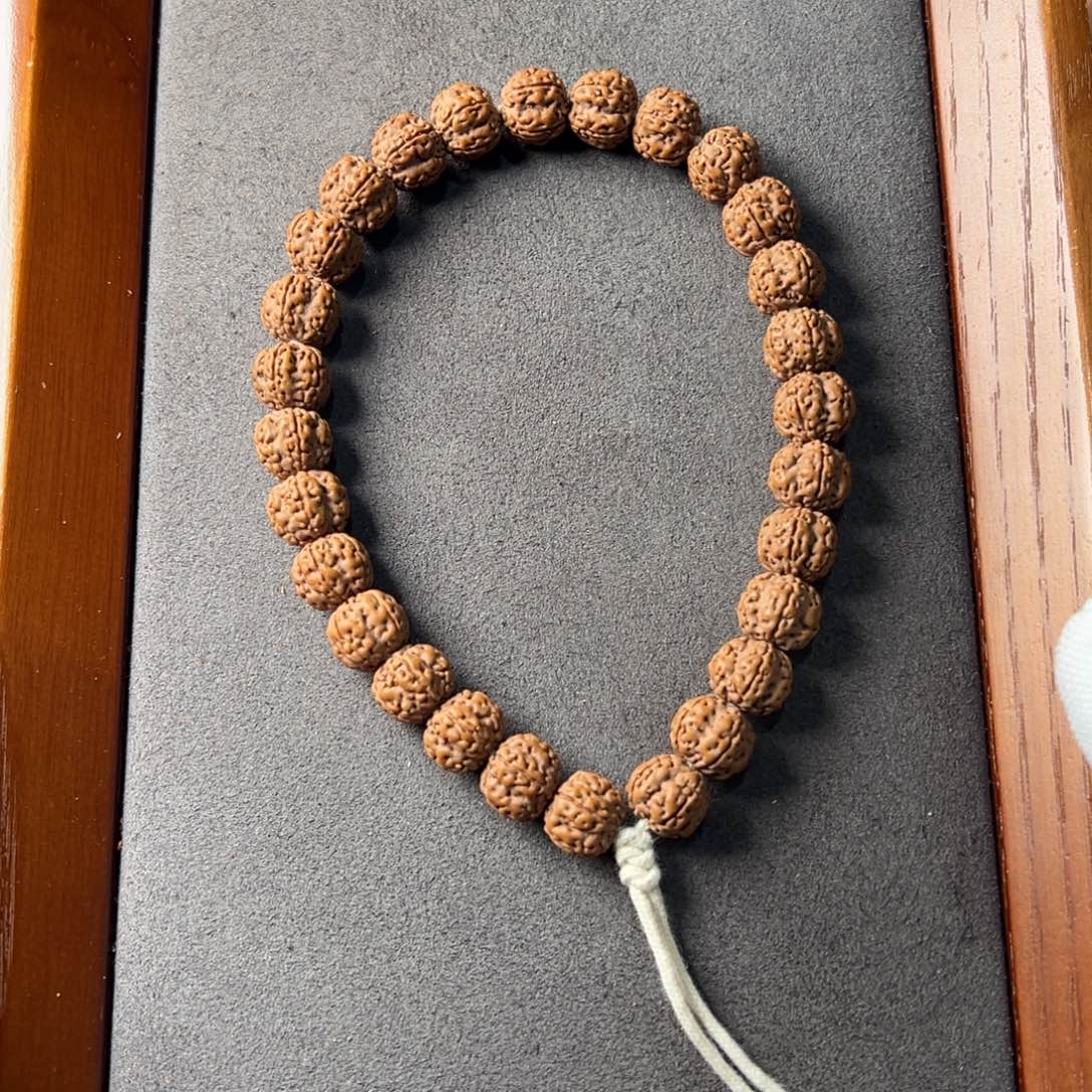 金刚菩提手串老树梅花10.5