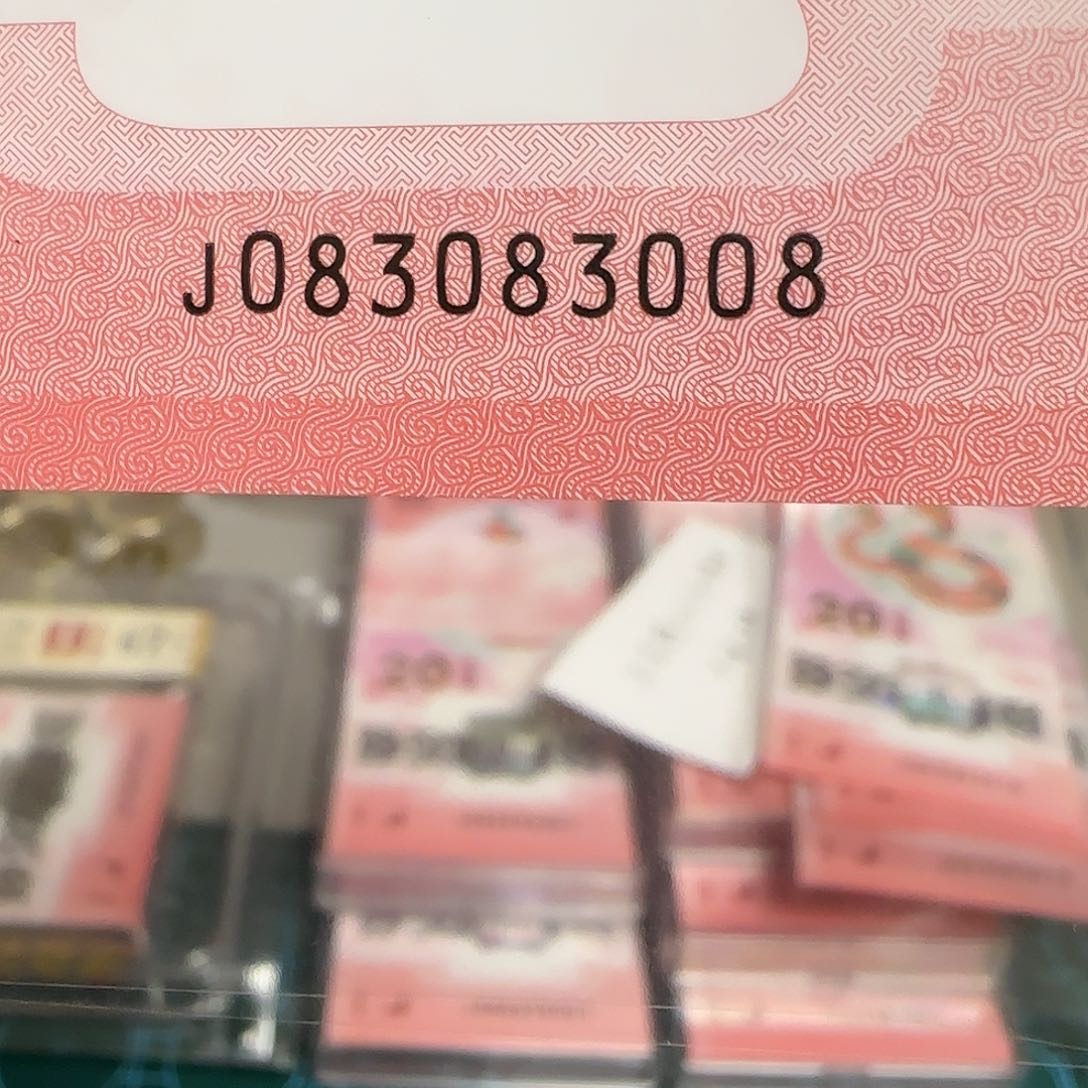 塑料蛇年纪念钞佘山倒影王