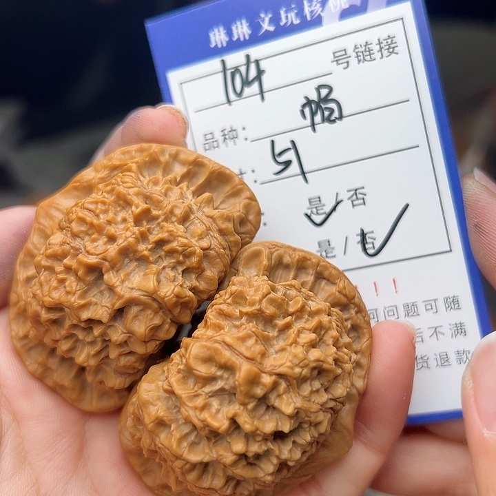 文玩核桃吊坠核桃树104