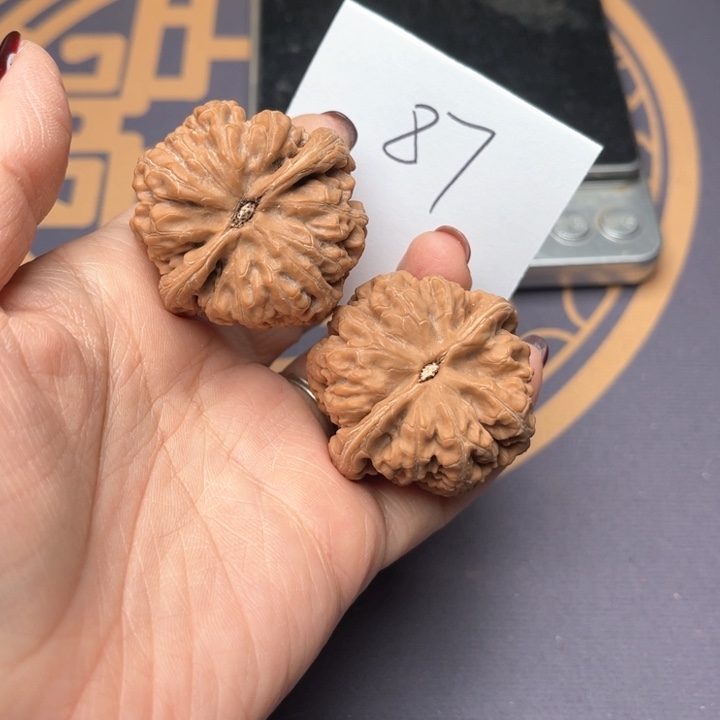 文玩核桃把件39大粗筋