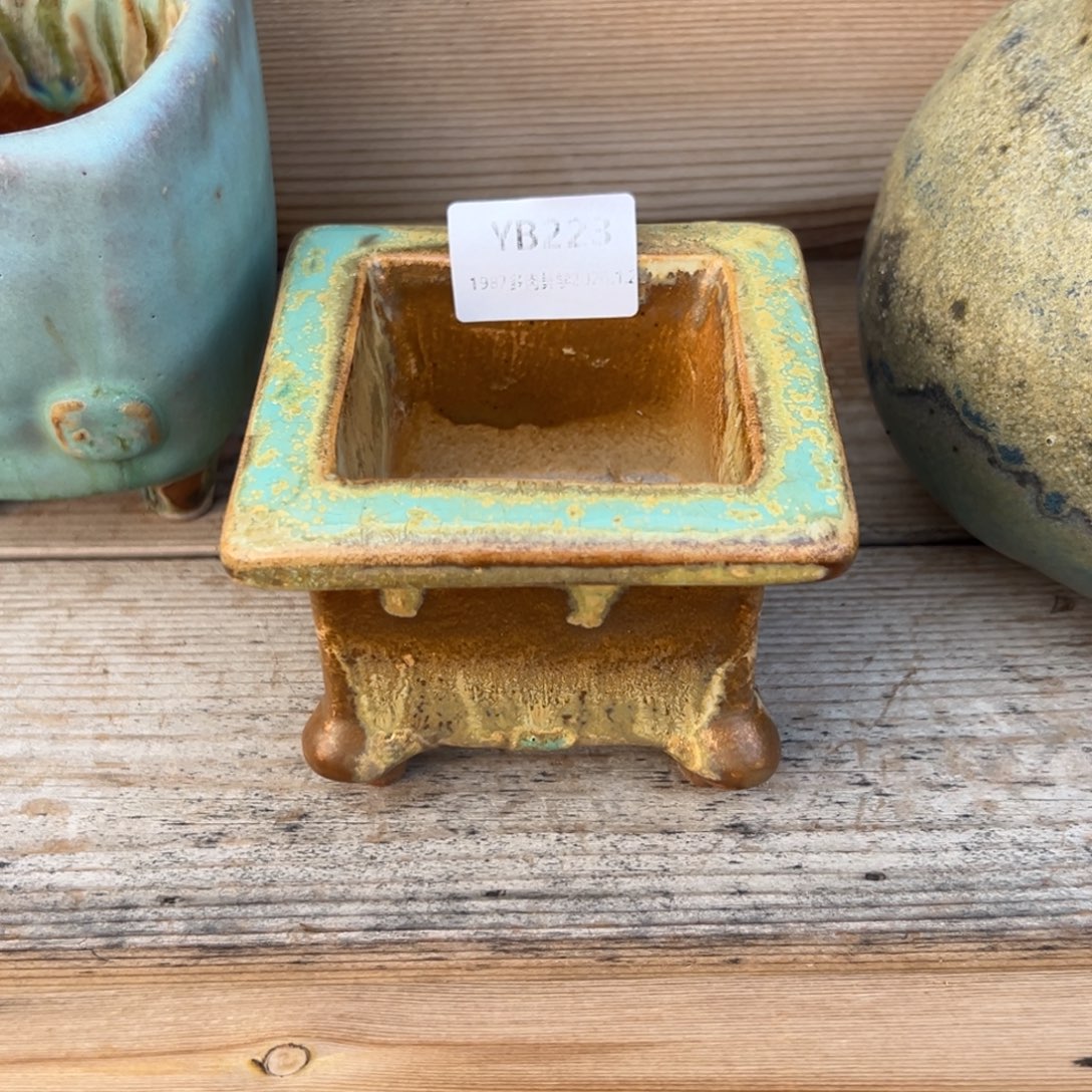 天***猫1987植物花盆YB223