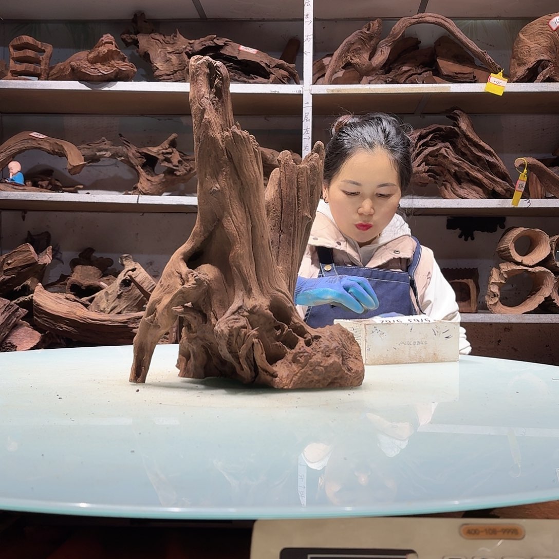 倍褚沉木不包损必褪色怕**闹5751