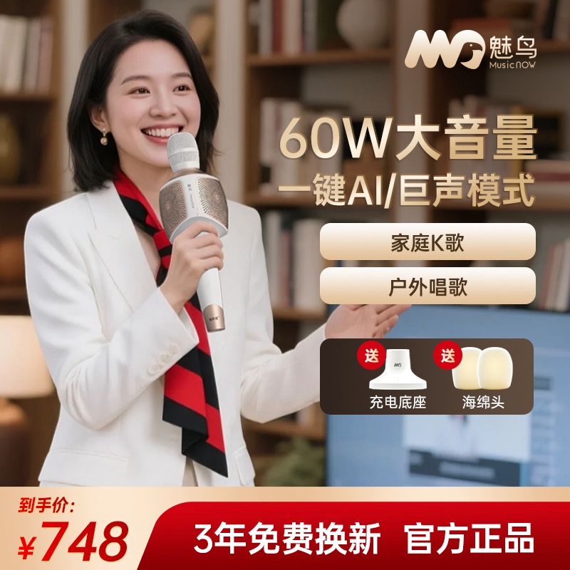 巨声音响麦旗舰版音箱话筒声卡一体机唱歌无线手持K歌麦克风