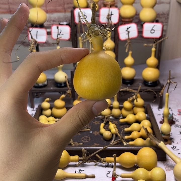 葫芦葫芦葫芦葫芦