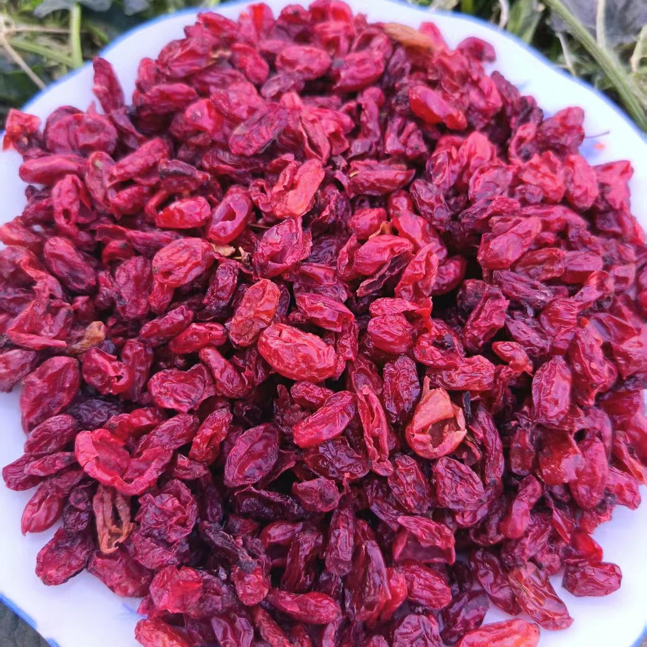 正宗山茱萸干货枣皮新货无硫可搭枸杞当归泡水喝