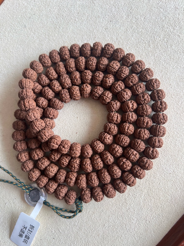 【孔道黄】纯血老树王长串 勿里达原生态老树小金刚