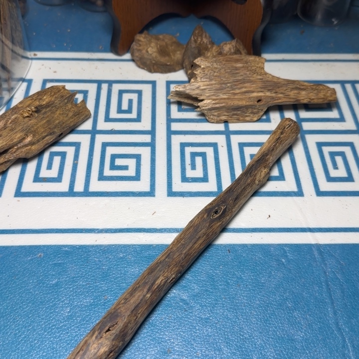 木质绿奇陆河树心油31克