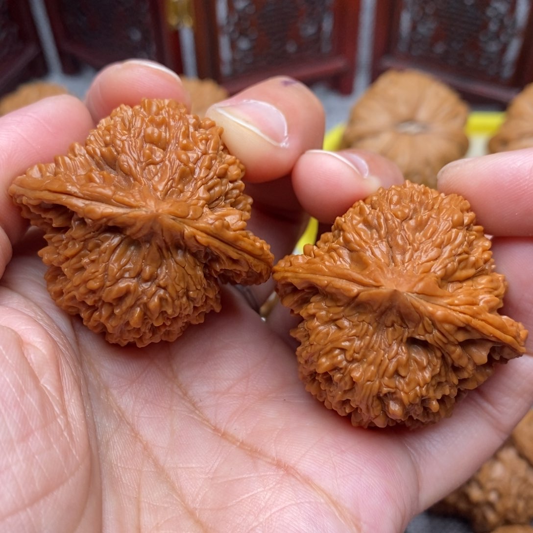 文玩核桃把件全品毕业红皮满天星40+尺