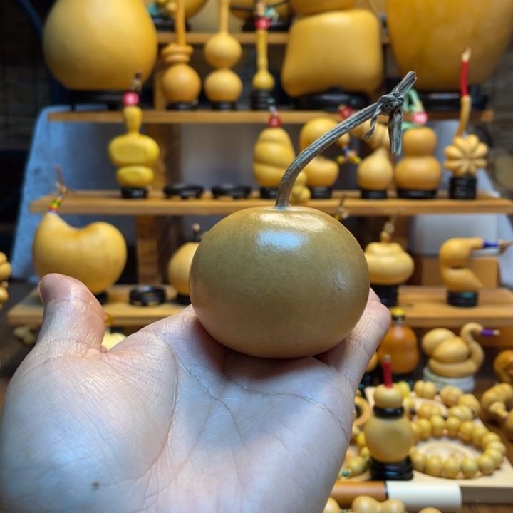 俗***银天然葫芦自然生长