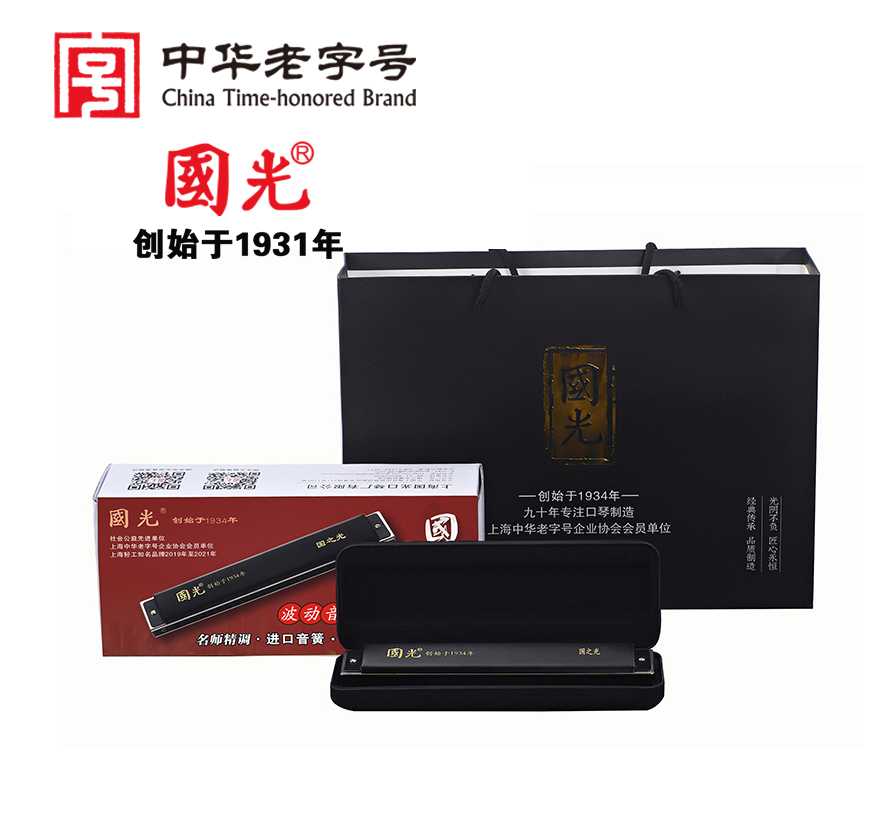 国光24孔国之光波动音复音12调口琴正品新手成人口吹琴复音口琴
