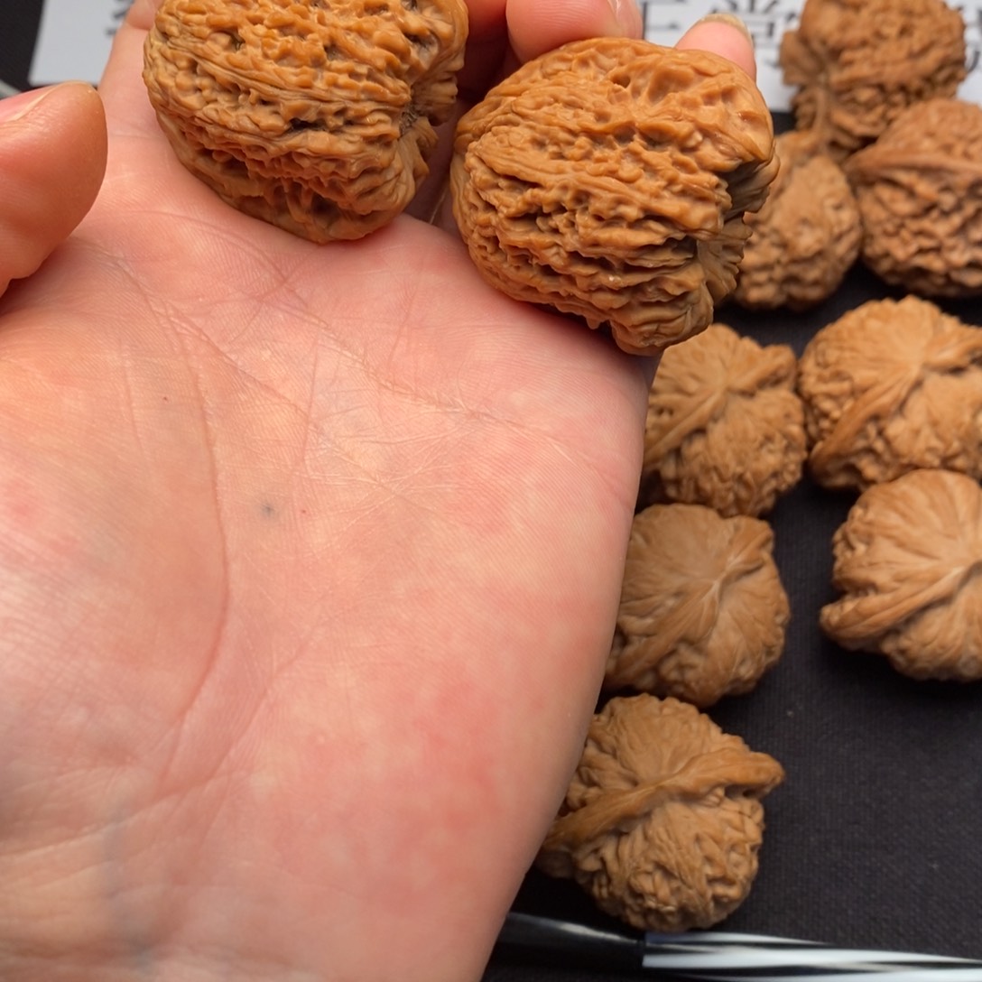 38全品凹的天残角南疆狮子头