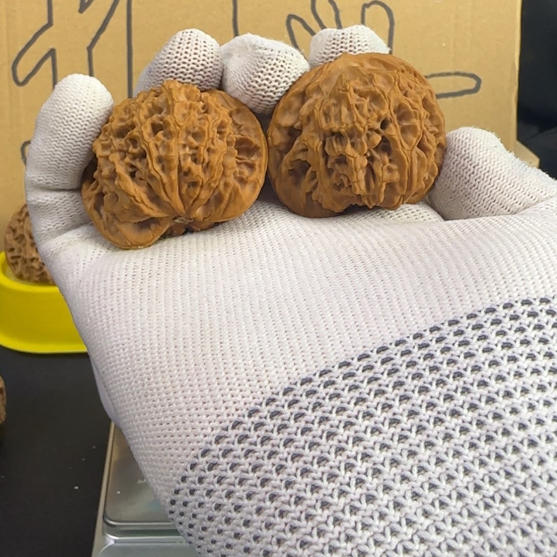 大叶紫檀（黑酸枝木类）盘龙纹