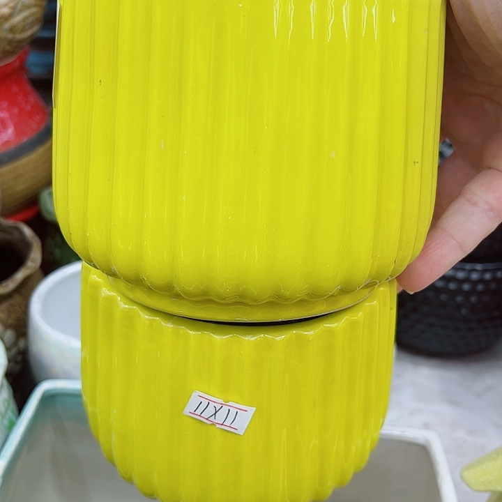 多肉植物陶瓷花盆