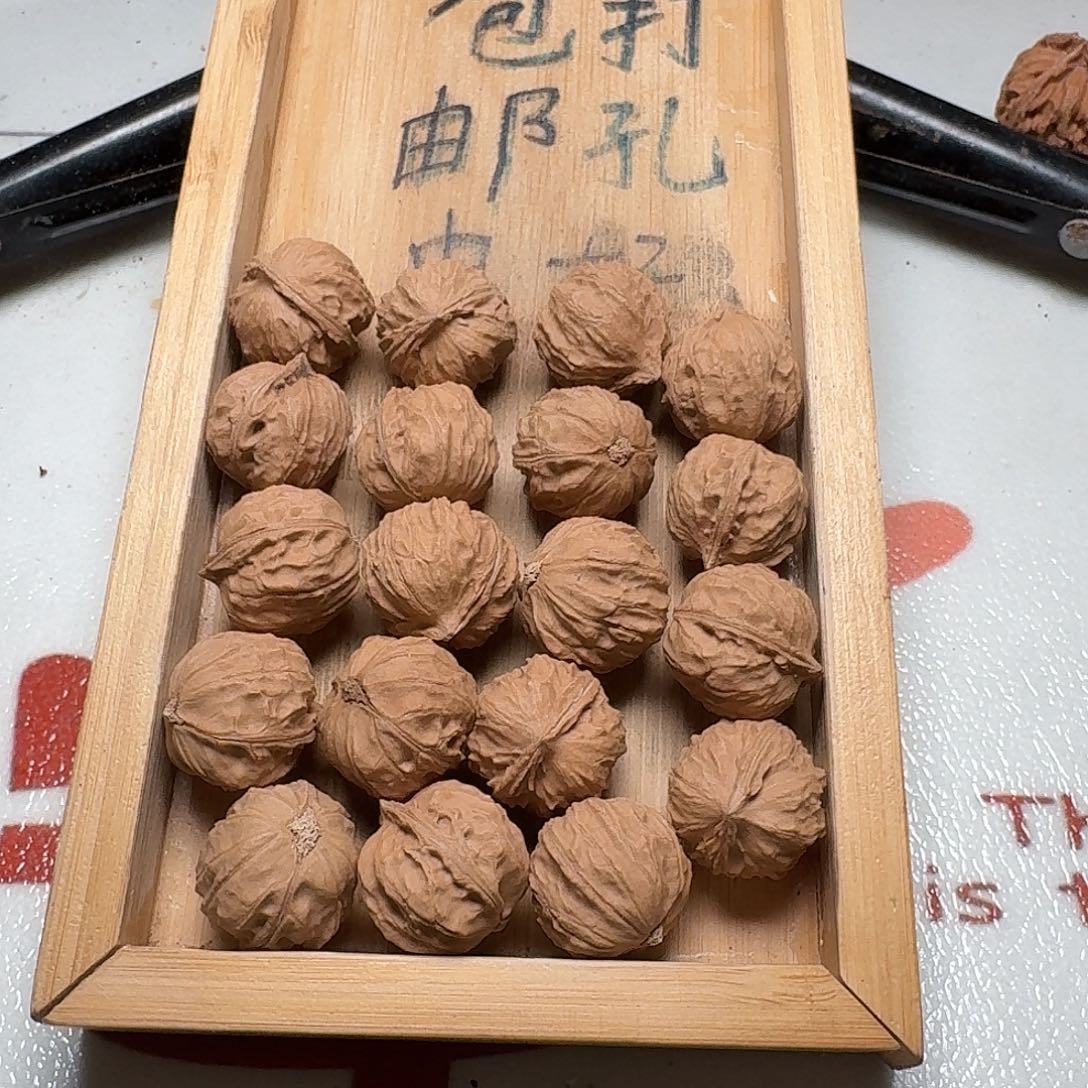 核桃手串/手链9号边22手持