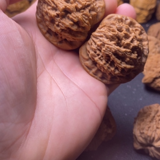 虎*文玩核桃全品麦虎46