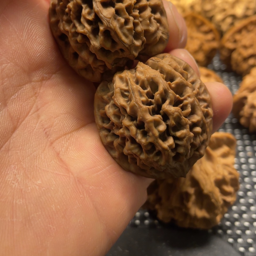 兴*?秦岭小王文玩核桃