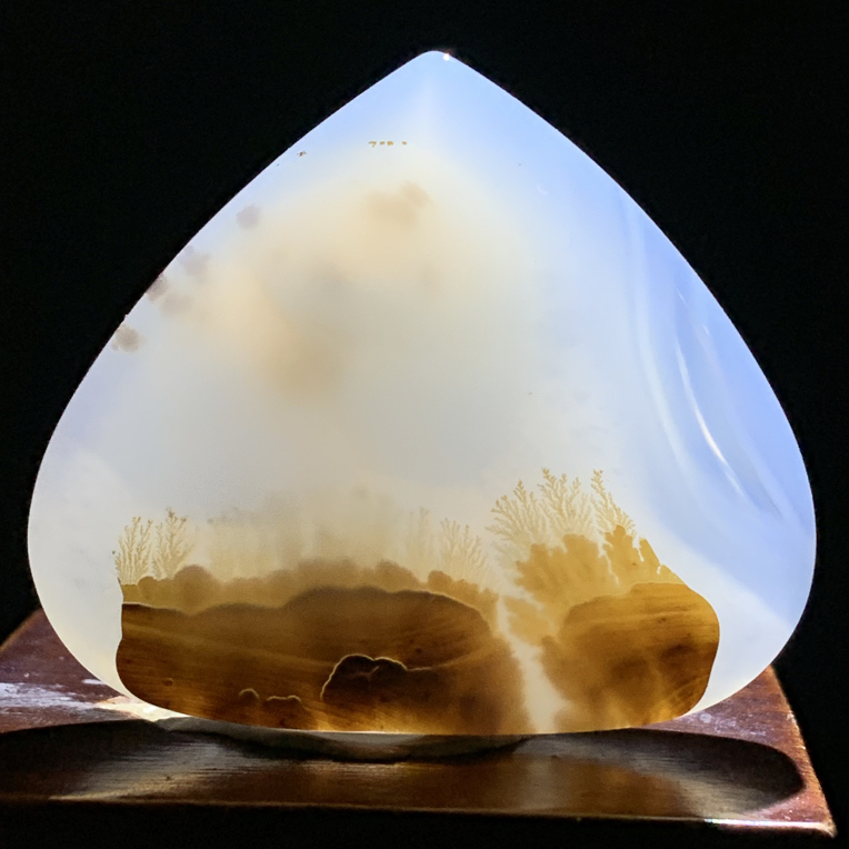 天然海洋玉髓草花意境水滴吊坠299尺寸45/52/10mm