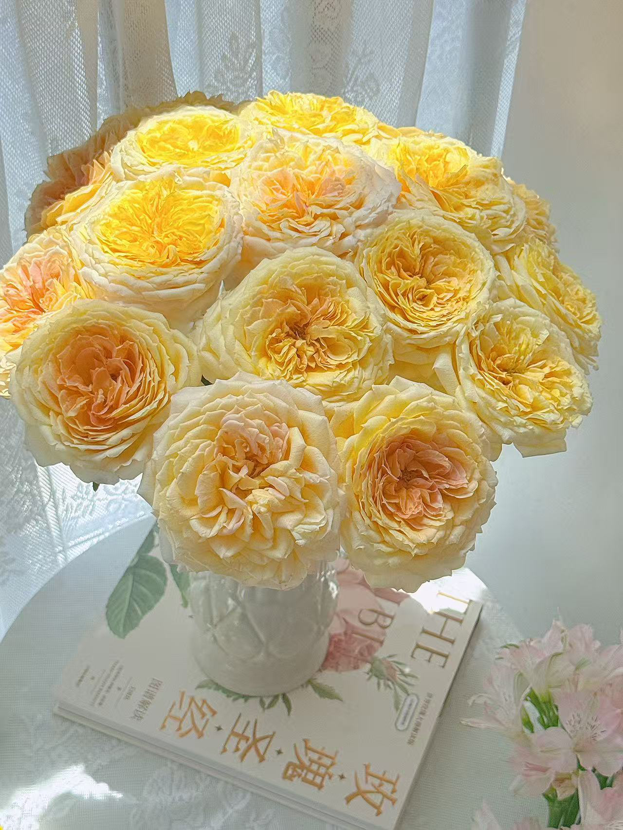 【艺嘉】妮蒂亚 任拍三单顺丰空运包邮鲜切花10支家居花店插花