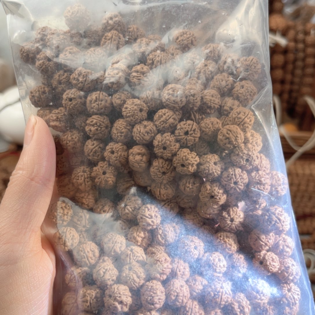 吊坠金刚菩提散籽