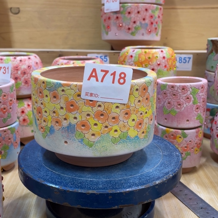 顶冠花盆多肉花盆