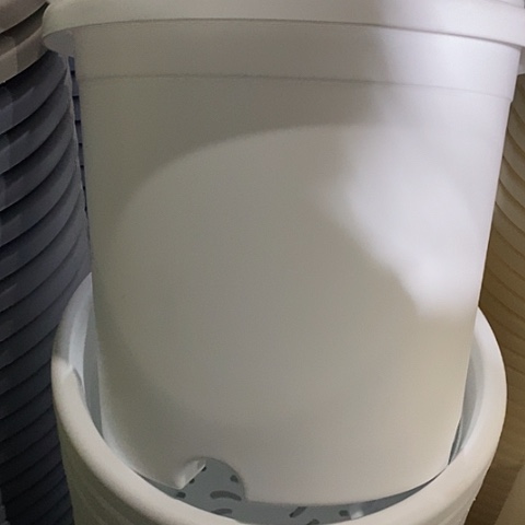 树脂四季4号纯白无托10个