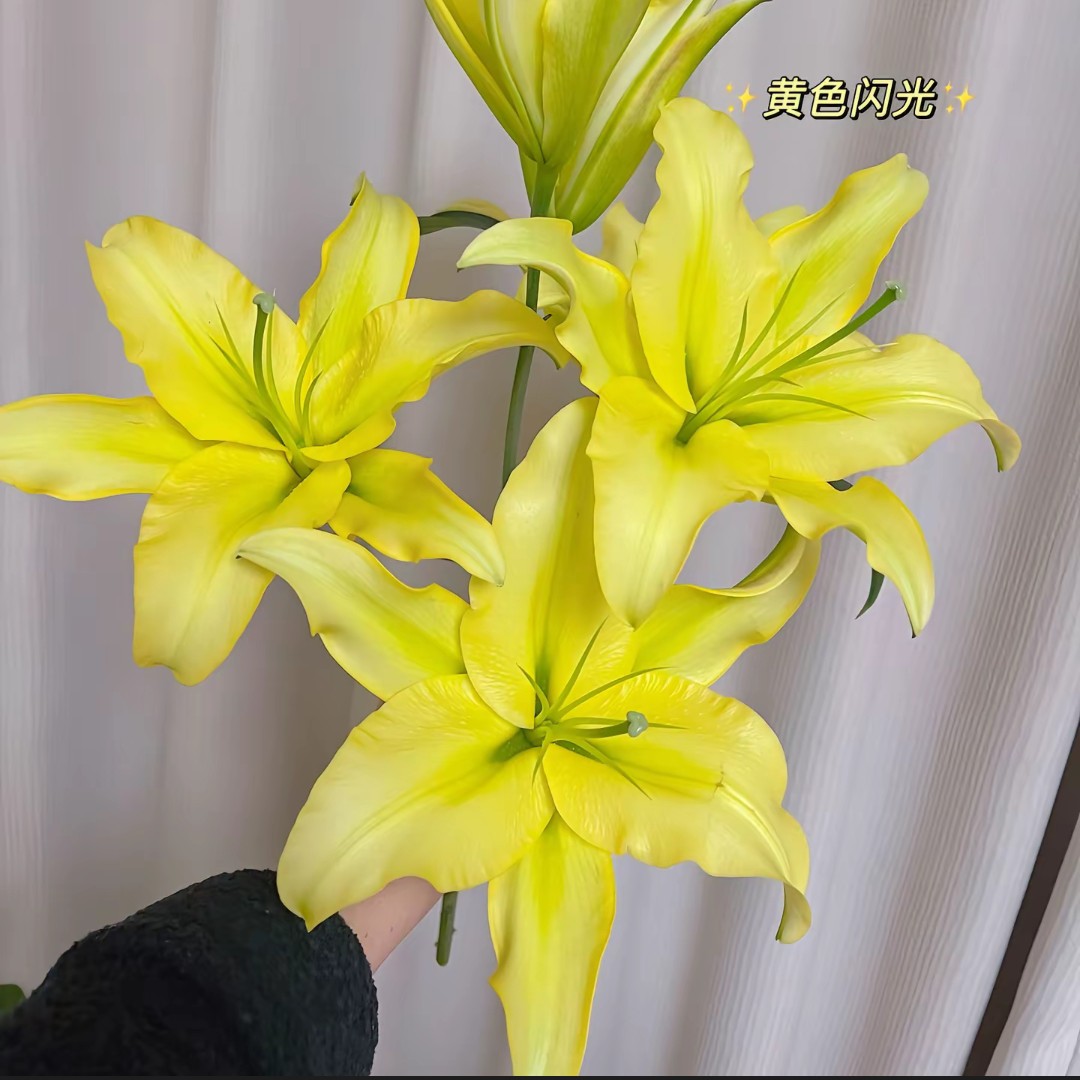 【云霄花卉】【黄闪光百合】云南香水百合【任意两单顺丰冷链包邮】