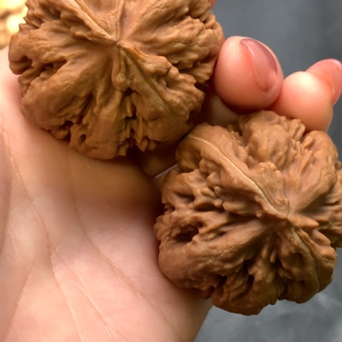 文玩核桃吊坠霸王龙