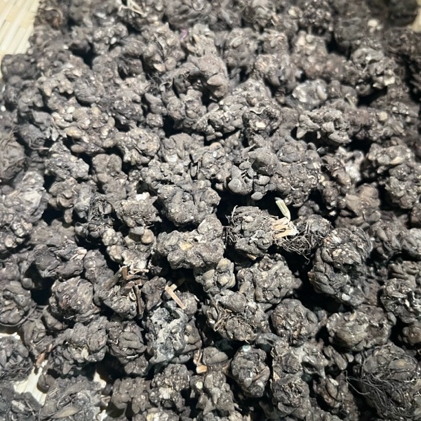 【大个山货】云南山货猫爪草可搭配枸杞