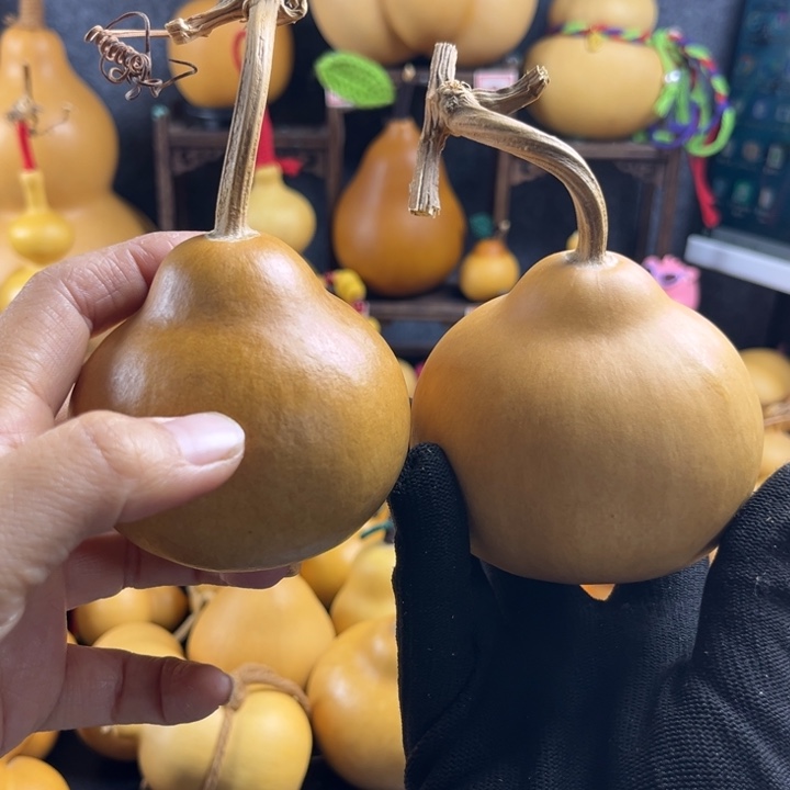 哈哈哈哈哈哈哈哈哈