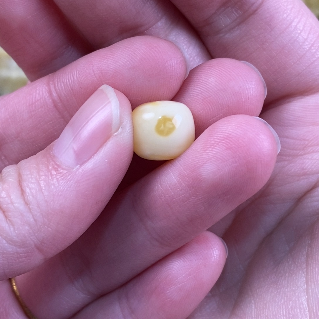 王***涵蜜蜡未镶嵌珠宝奇石