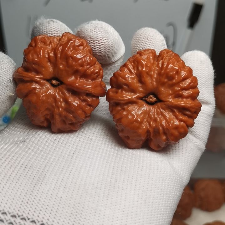 文玩核桃把件政*40涞水蛤蟆头打好底