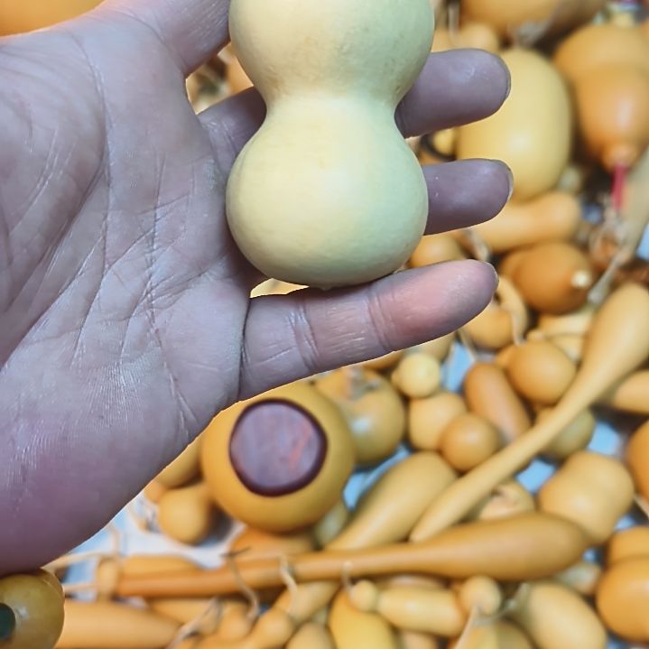 骑***飞骨头骨头骨头骨头