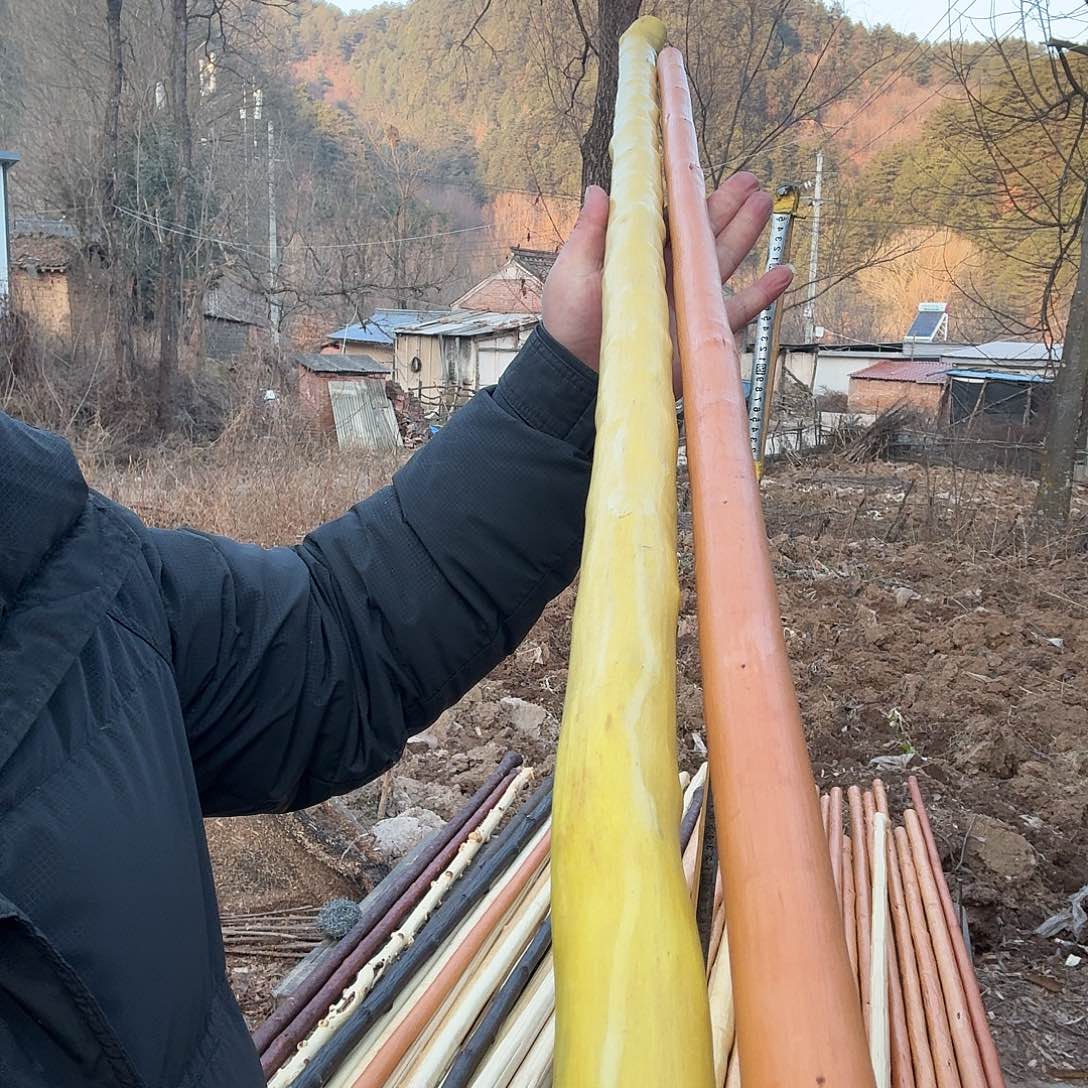 太***泉好好好好好好好好好好