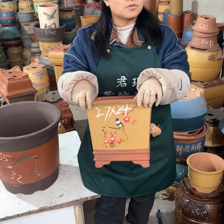 紫砂花盆盆栽花卉苗木种植
