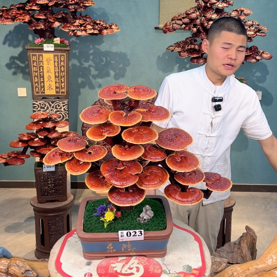 无花朵58888888888