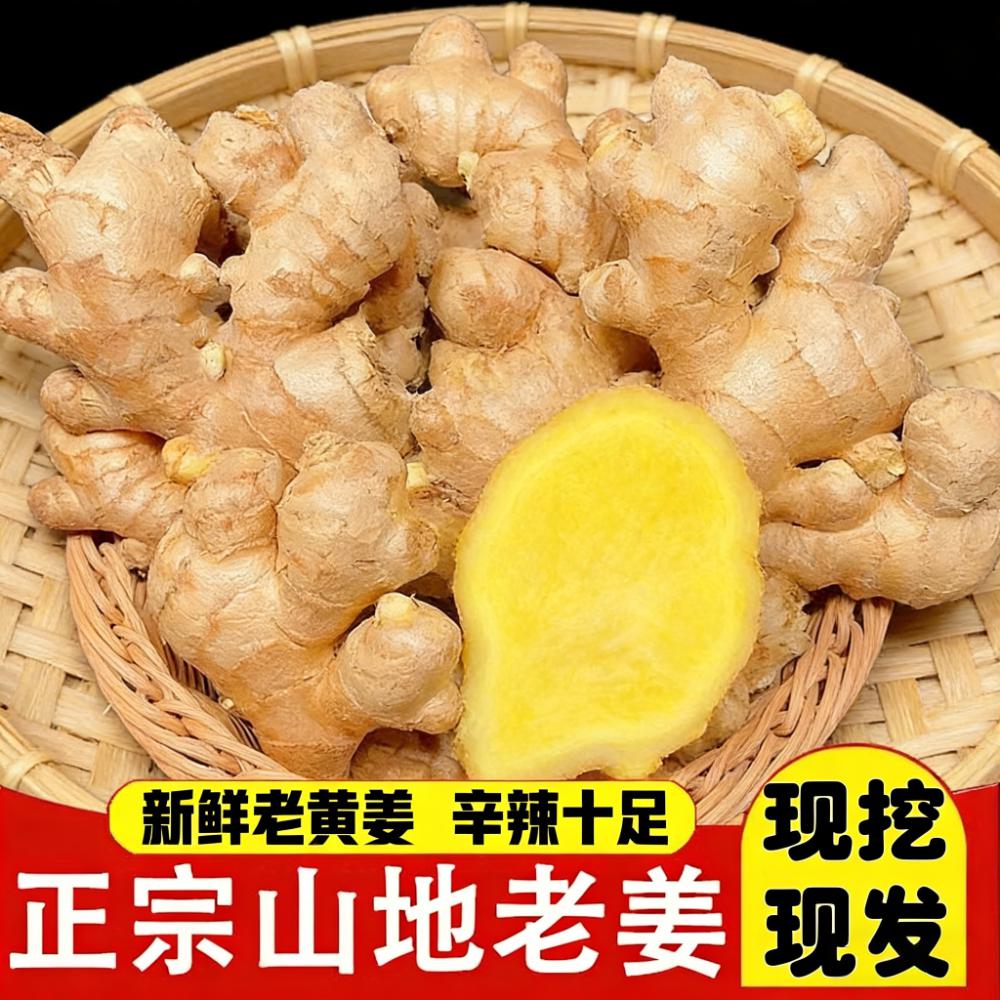 【济宁邮政优选净重发货】小黄姜现挖仔姜新姜月子姜农家高山种植