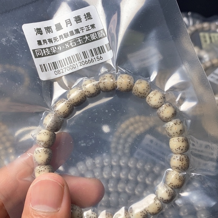 星月菩提手串同支果 98左右 一物一图 1号 