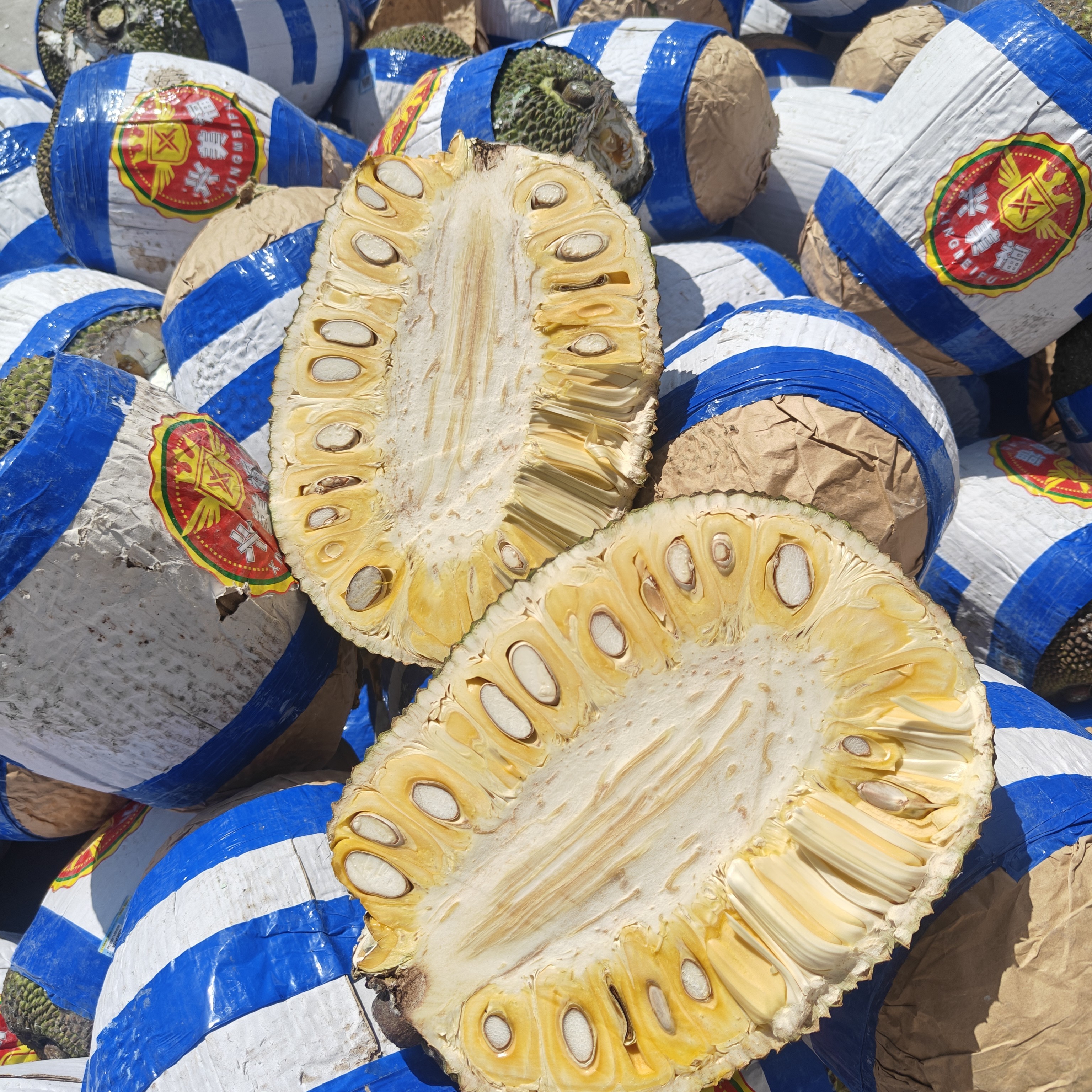 黄肉菠萝蜜（现过称）